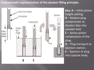 Diagrammatic representation of the dosator filling principle.
Key: A – Initial piston
height setting;
B – Modest plug
compression as
dosator dips into
powder bed;
C – Active piston
compression of the
plug;
D – Plug transport to
ejection station;
E – Ejection of plug
into capsule body.

 