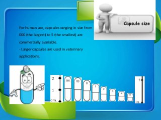 For human use, capsules ranging in size from
000 (the largest) to 5 (the smallest) are
commercially available.
- Larger capsules are used in veterinary
applications.
Capsule size
 