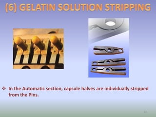  In the Automatic section, capsule halves are individually stripped
from the Pins.
13
 