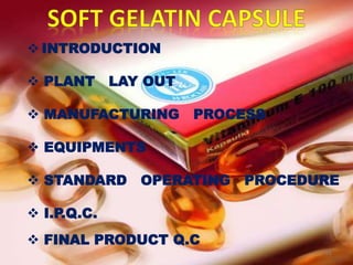  INTRODUCTION
 PLANT LAY OUT
 MANUFACTURING PROCESS
 EQUIPMENTS
 STANDARD OPERATING PROCEDURE
 I.P.Q.C.
 FINAL PRODUCT Q.C
51
 