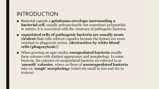 BACTERIAL CAPSULE.pptx