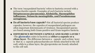 BACTERIAL CAPSULE.pptx