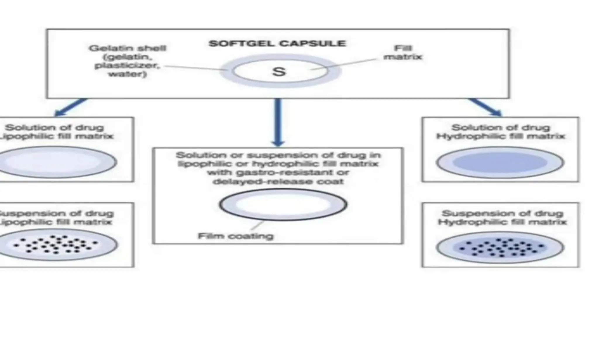 UNIT 2. CAPSULES, TYPES OF CAPSULES, ADV