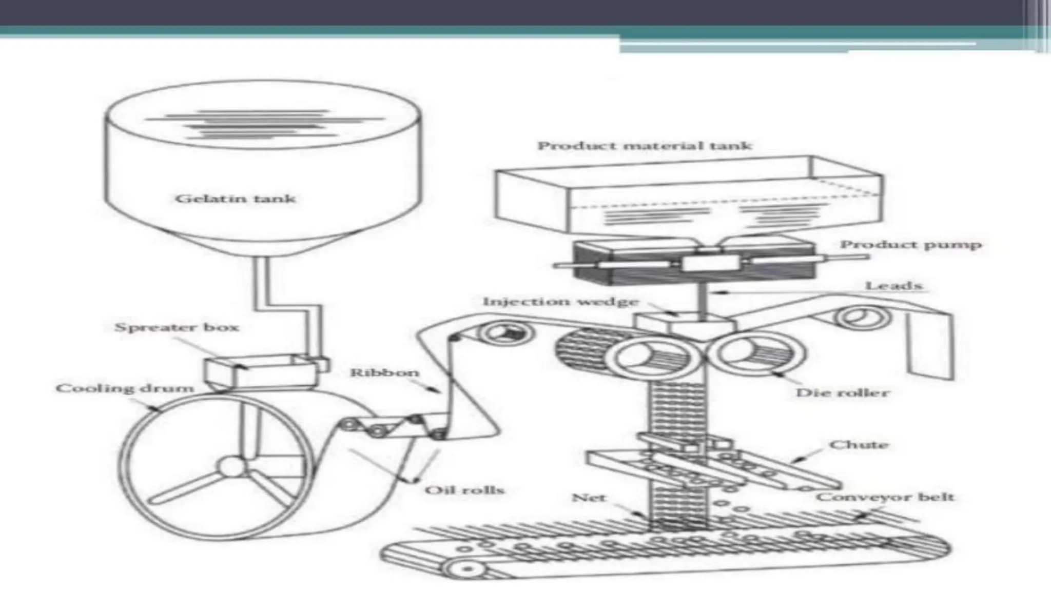 UNIT 2. CAPSULES, TYPES OF CAPSULES, ADV