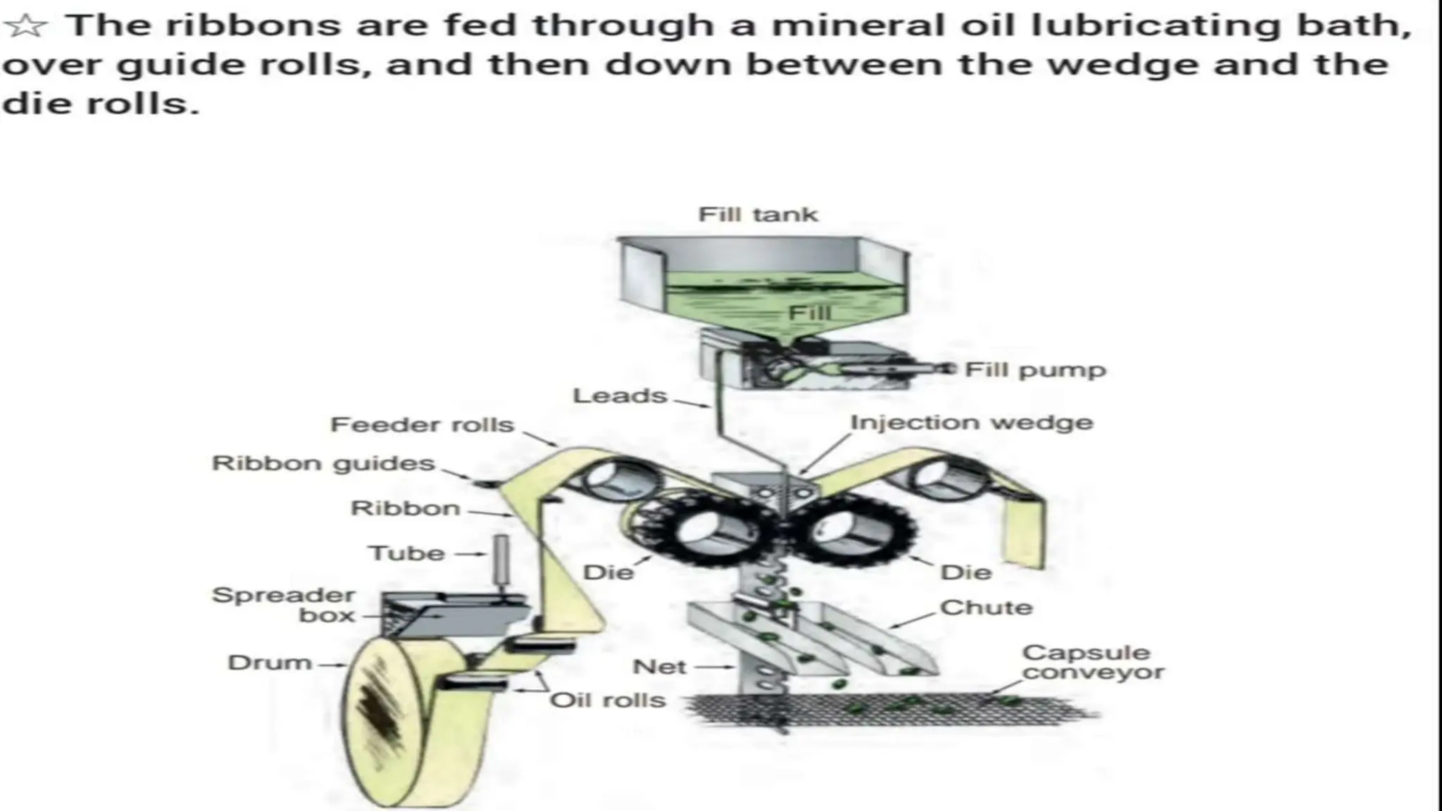 UNIT 2. CAPSULES, TYPES OF CAPSULES, ADV