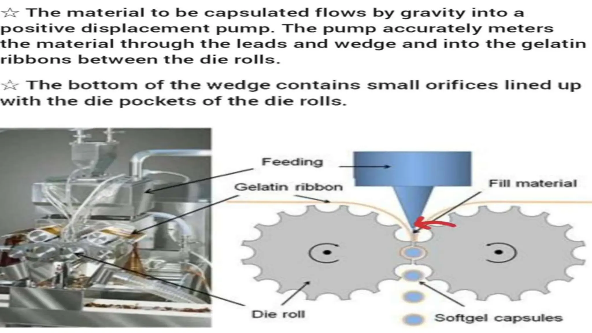 UNIT 2. CAPSULES, TYPES OF CAPSULES, ADV