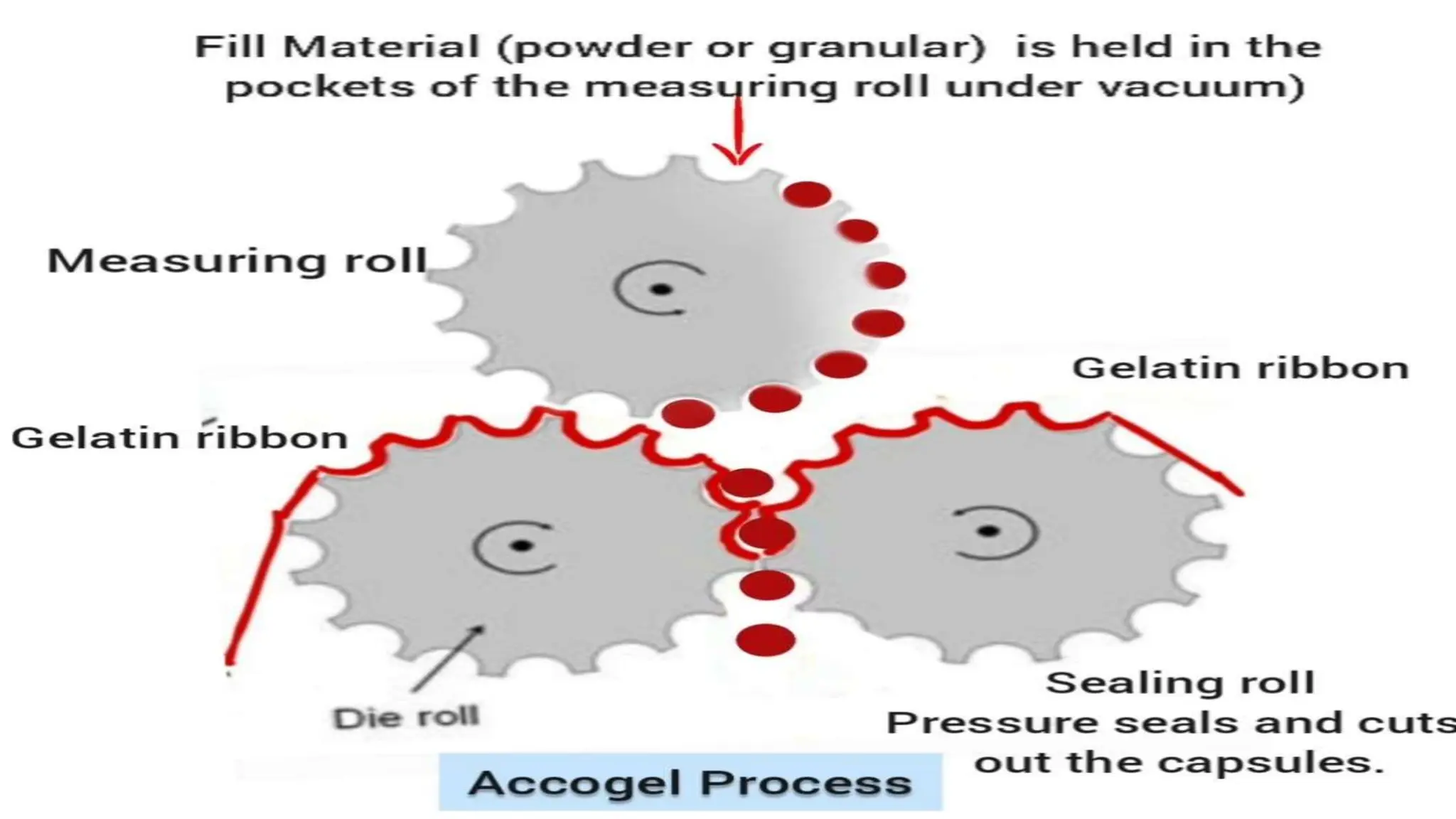 UNIT 2. CAPSULES, TYPES OF CAPSULES, ADV
