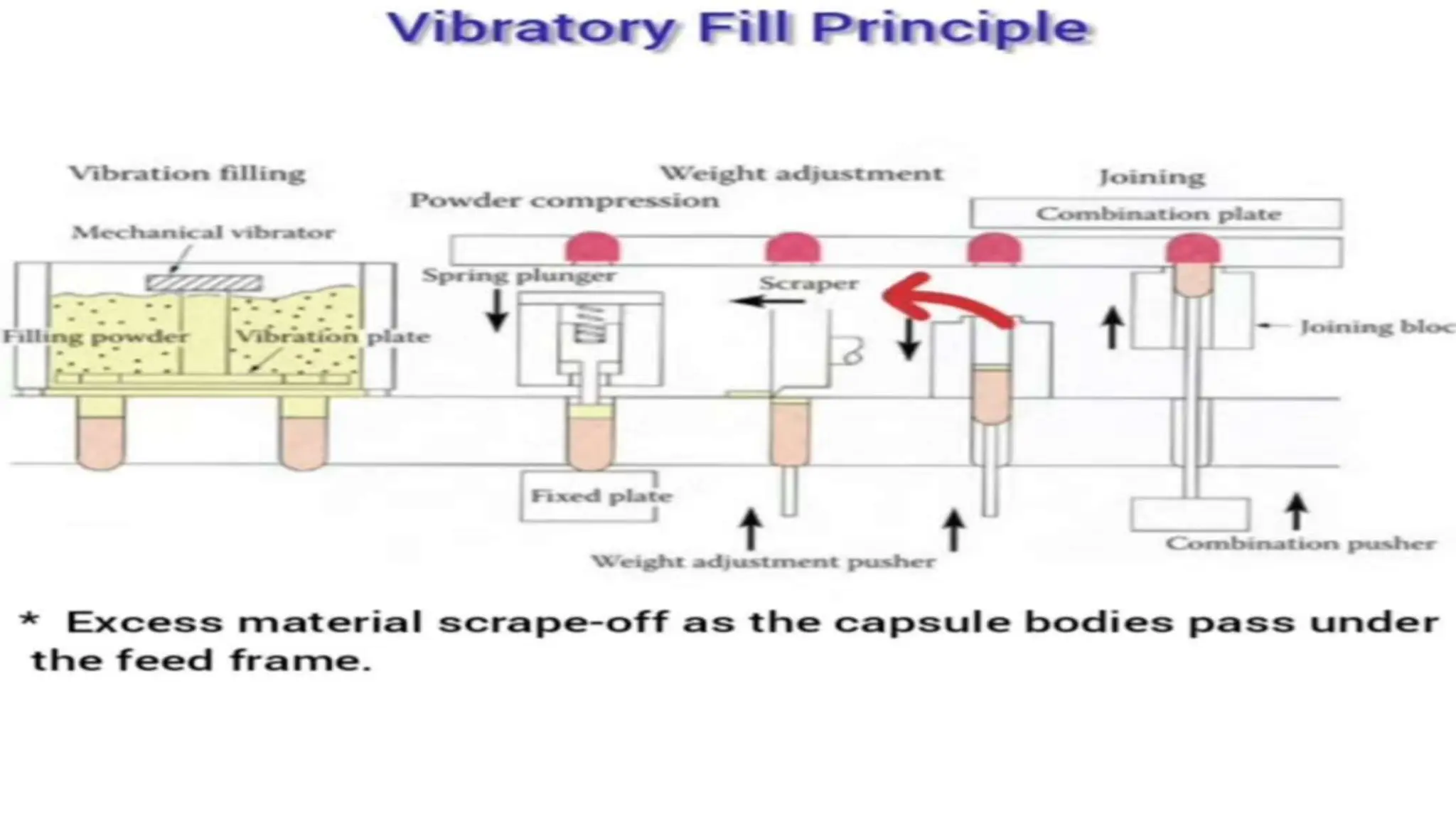 UNIT 2. CAPSULES, TYPES OF CAPSULES, ADV