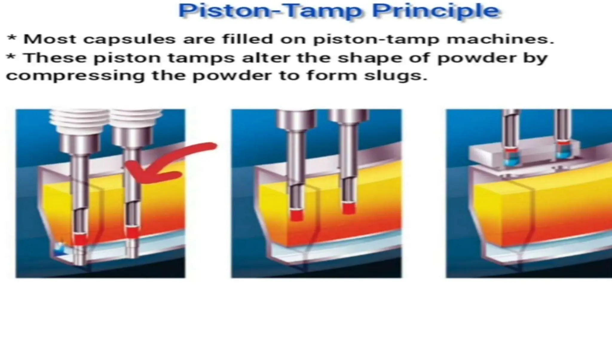 UNIT 2. CAPSULES, TYPES OF CAPSULES, ADV