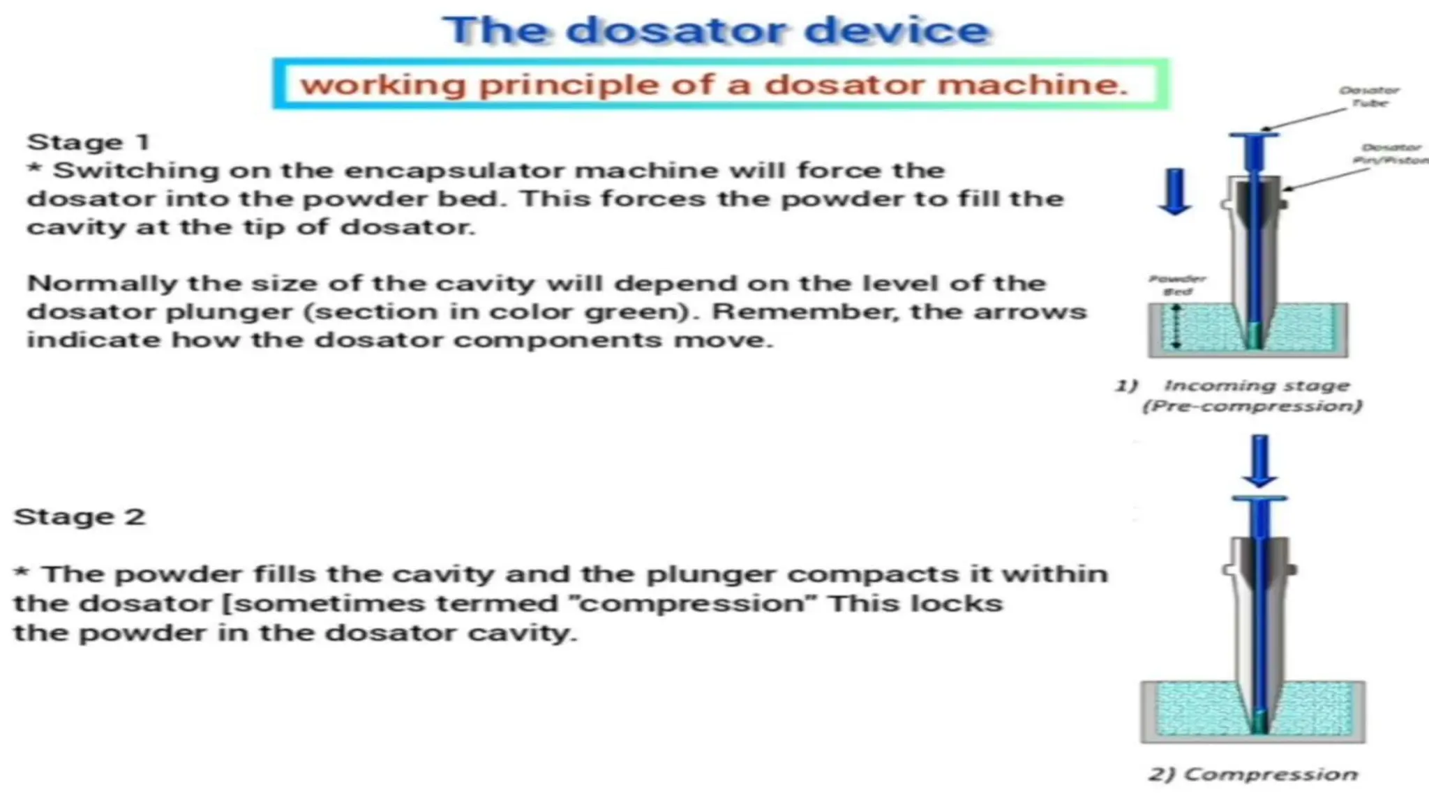 UNIT 2. CAPSULES, TYPES OF CAPSULES, ADV