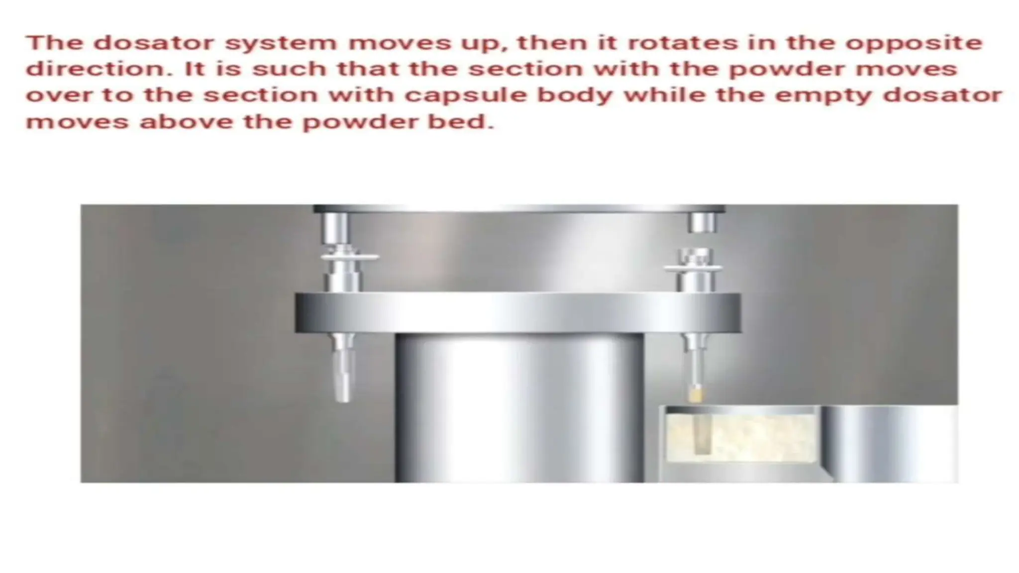 UNIT 2. CAPSULES, TYPES OF CAPSULES, ADV