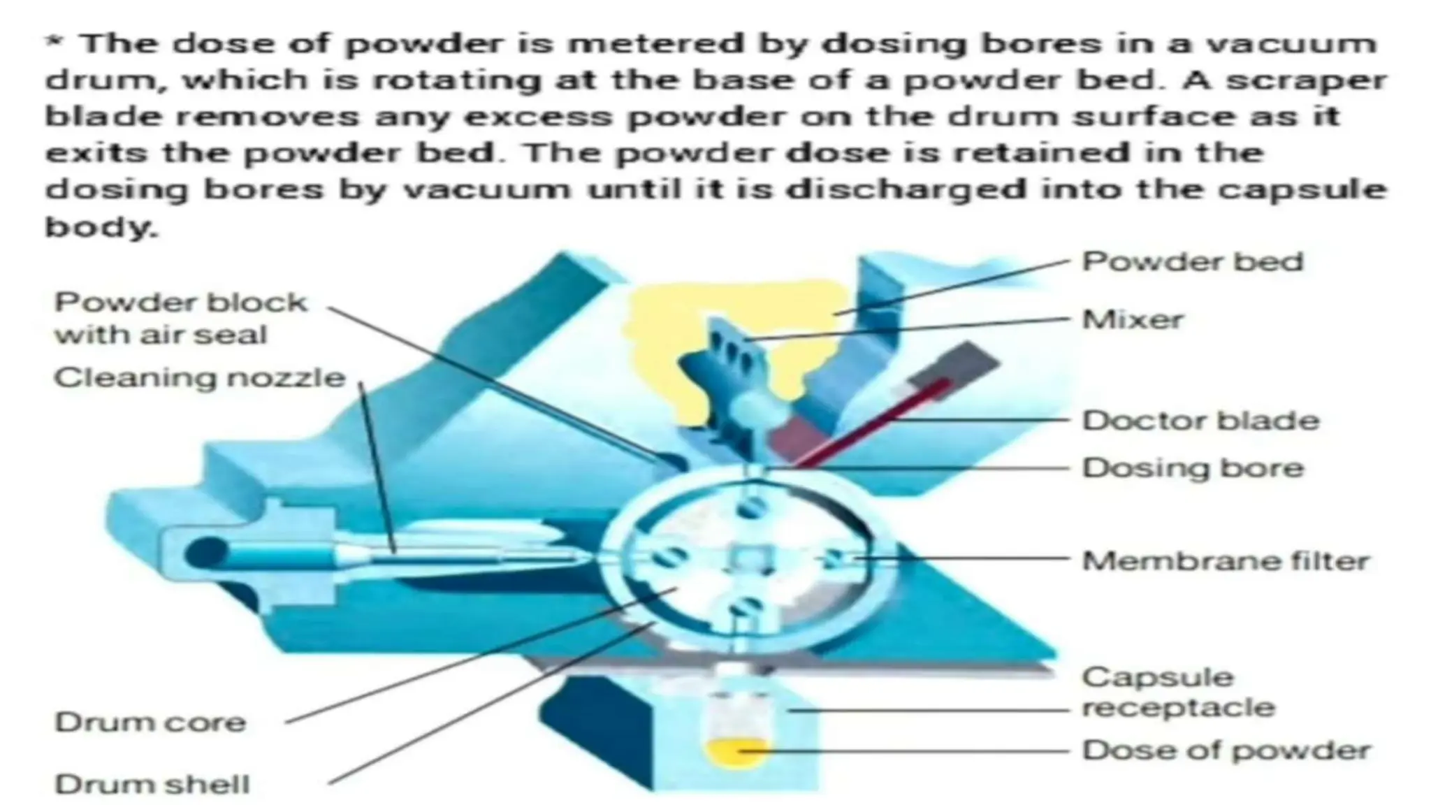 UNIT 2. CAPSULES, TYPES OF CAPSULES, ADV