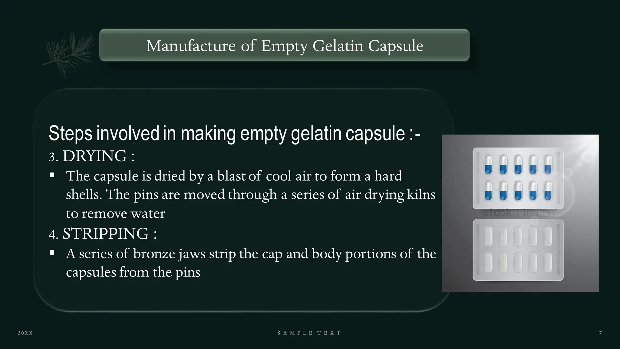 Manufacture of Empty Gelatin Capsule
Steps involvedin making empty gelatin capsule :-
3. DRYING :
▪ The capsule is dried by a blast of cool air to form a hard
shells. The pins are moved through a series of air drying kilns
to remove water
4. STRIPPING :
▪ A series of bronze jaws strip the cap and body portions of the
capsules from the pins
 