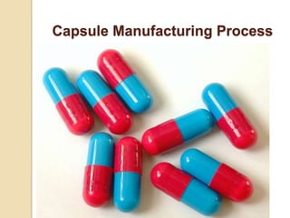 Capsule Manufacturing Process
 