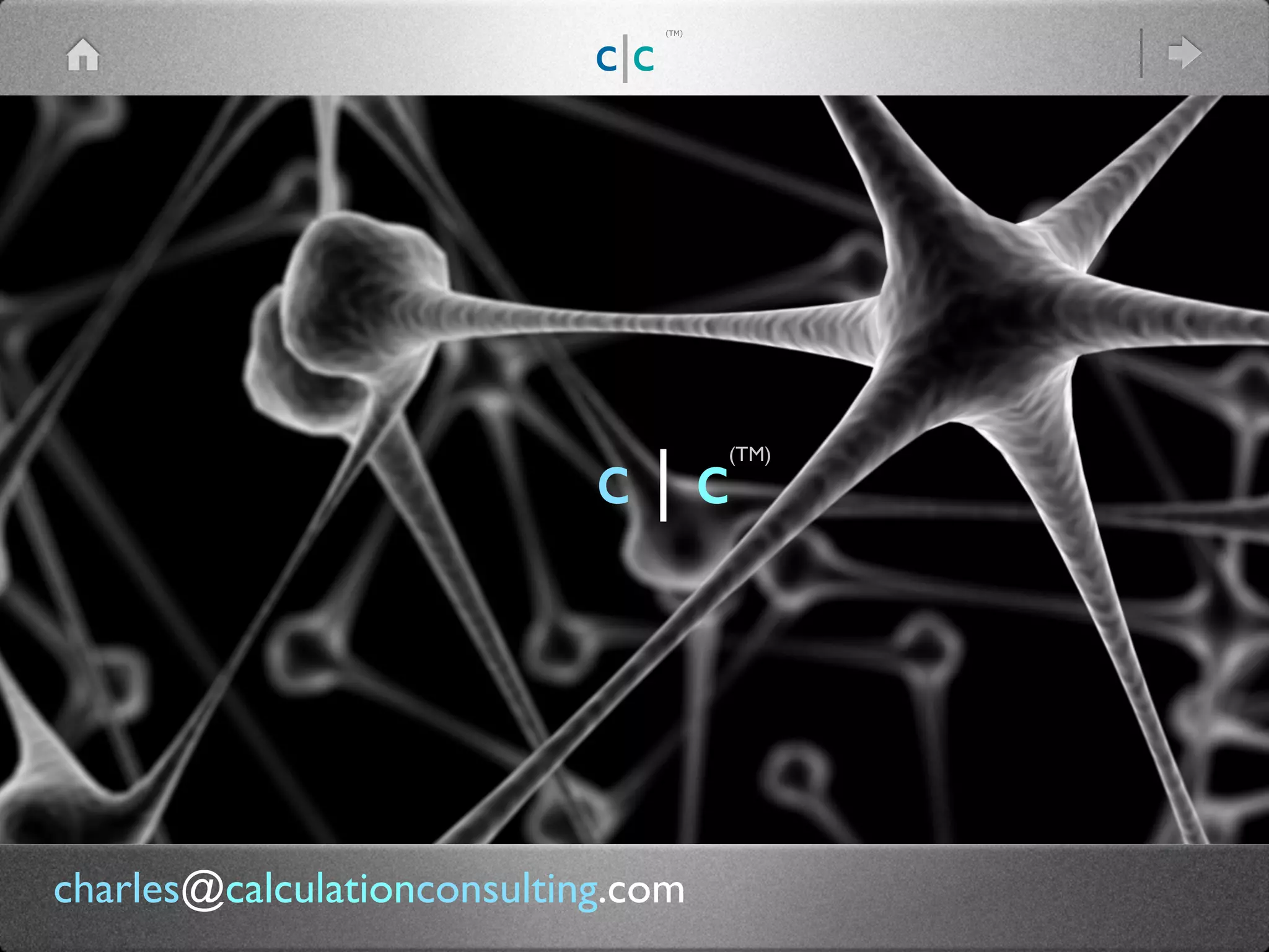 (TM)
c|c
(TM)
c | c
charles@calculationconsulting.com
 