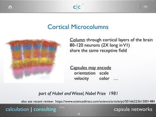 c|c
(TM)
(TM)
12
calculation | consulting capsule networks
Cortical Microcolumns
Capsules may encode
orientation scale
velocity color …
Column through cortical layers of the brain
80-120 neurons (2X long inV1)
share the same receptive ﬁeld
part of Hubel andWiesel, Nobel Prize 1981
also see recent review: https://www.sciencedirect.com/science/article/pii/S0166223615001484
 