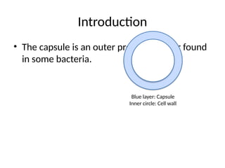 Introduction
• The capsule is an outer protective layer found
in some bacteria.
Blue layer: Capsule
Inner circle: Cell wall
 