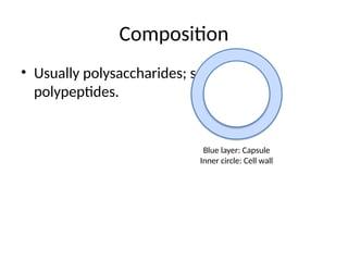 Composition
• Usually polysaccharides; sometimes
polypeptides.
Blue layer: Capsule
Inner circle: Cell wall
 