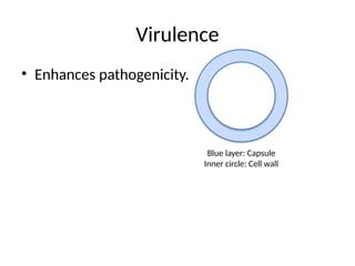 Virulence
• Enhances pathogenicity.
Blue layer: Capsule
Inner circle: Cell wall
 