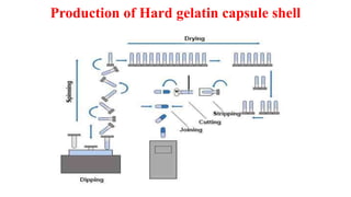 Pharmaceutical Capsule Part 2 Formulation | PDF