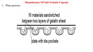 Pharmaceutical Capsule Part 3 Formulation | PDF