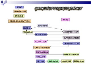 BONE
DEGREASING
CLARIFICATION
DEMINERALISATION
WASHING
FILTRATION
STERILISATION
EXTRACTION
CONCENTRATION
ACIDIFICATION
HIDE
DEIONISATION
DELIMING
LIMING
BLENDING
GRADING
GRINDINGDRYING
CHILLING
GRADING
FILTRATION
 