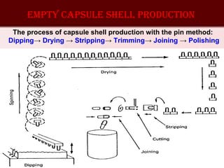 The process of capsule shell production with the pin method:
Dipping→ Drying → Stripping→ Trimming→ Joining → Polishing
emptY capsule sHell prOductiOn
 