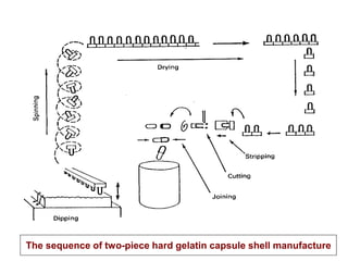 Capsules | PDF