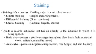 Staining
• Staining -It’s a process of adding a dye to a microbial culture.
• Simple Staining (shapes and arrangements)
• Differential Staining (Gram reactions)
• Special Staining (Capsule, flagella, spores)
• Dye-Is a colored substance that has an affinity to the substrate to which it is
being applied.
• Basic dye—possess a positive charge (methylene blue, basic fuchsin, crystal
violet, safranin, malachite green)
• Acidic dye—possess a negative charge (eosin, rose bengal, and acid fuchsin)
6
 