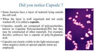 Capsule staining