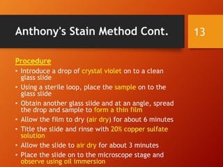 Anthony's Stain Method Cont.
Procedure
• Introduce a drop of crystal violet on to a clean
glass slide
• Using a sterile loop, place the sample on to the
glass slide
• Obtain another glass slide and at an angle, spread
the drop and sample to form a thin film
• Allow the film to dry (air dry) for about 6 minutes
• Title the slide and rinse with 20% copper sulfate
solution
• Allow the slide to air dry for about 3 minutes
• Place the slide on to the microscope stage and
observe using oil immersion
13
 
