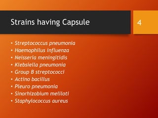 Strains having Capsule
• Streptococcus pneumonia
• Haemophilus influenza
• Neisseria meningitidis
• Klebsiella pneumonia
• Group B streptococci
• Actino bacillus
• Pleuro pneumonia
• Sinorhizobium meliloti
• Staphylococcus aureus
4
 