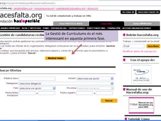 La Gestió de Currículums és el més
interessant en aquesta primera fase.
 