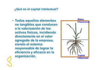¿Qué es el capital intelectual? 
• Todos aquellos elementos 
no tangibles que conducen 
a la valorización de los 
activos físicos, incidiendo 
directamente en el valor 
agregado de la empresa, 
siendo el máximo 
responsable de lograr la 
eficiencia y eficacia en la 
organización. 
Rtdos. 
Financieros 
Capital 
Intelectual. 
 