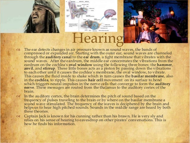 Sensing The World Assignment Captain Jack Sparrow