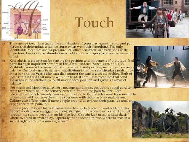 Sensing The World Assignment Captain Jack Sparrow