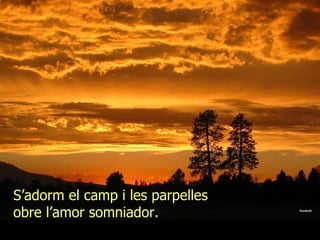 S’adorm el camp i les parpelles obre l’amor somniador. 