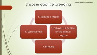 Captive Wildlife, Zoo and Safari Park, Captive Breeding for ...