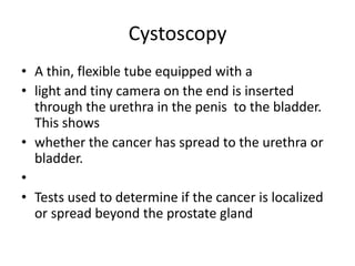 Cystoscopy,[object Object],A thin, flexible tube equipped with a ,[object Object],light and tiny camera on the end is inserted through the urethra in the penis  to the bladder. This shows ,[object Object],whether the cancer has spread to the urethra or bladder.,[object Object], ,[object Object],Tests used to determine if the cancer is localized or spread beyond the prostate gland,[object Object]