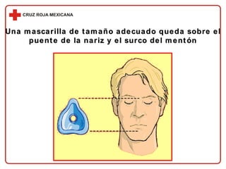 Una mascarilla de tamaño adecuado queda sobre el puente de la nariz y el surco del mentón 