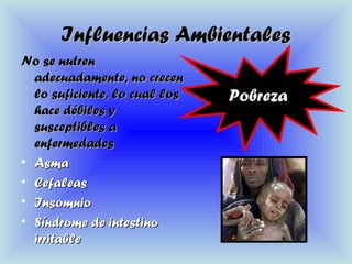 Influencias AmbientalesInfluencias Ambientales
No se nutrenNo se nutren
adecuadamente, no crecenadecuadamente, no crecen
lo suficiente, lo cual loslo suficiente, lo cual los
hace débiles yhace débiles y
susceptibles asusceptibles a
enfermedadesenfermedades
• AsmaAsma
• CefaleasCefaleas
• InsomnioInsomnio
• Síndrome de intestinoSíndrome de intestino
irritableirritable
PobrezaPobreza
 