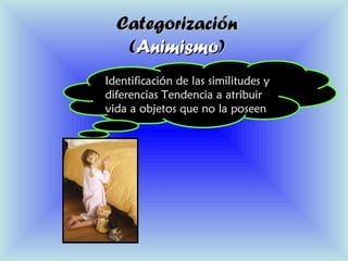 CategorizaciónCategorización
((AnimismoAnimismo))
Identificación de las similitudes yIdentificación de las similitudes y
diferencias Tendencia a atribuirdiferencias Tendencia a atribuir
vida a objetos que no la poseenvida a objetos que no la poseen
 