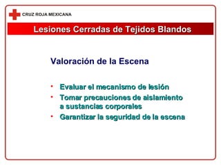 Valoración de la Escena Evaluar el mecanismo de lesión Tomar precauciones de aislamiento a sustancias corporales Garantizar la seguridad de la escena  Lesiones Cerradas de Tejidos Blandos 