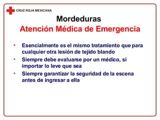Esencialmente es el mismo tratamiento que para cualquier otra lesión de tejido blando Siempre debe evaluarse por un médico, si importar lo leve que sea Siempre garantizar la seguridad de la escena antes de ingresar a ella Mordeduras Atención Médica de Emergencia 