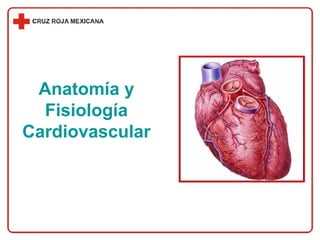 Anatomía y Fisiología Cardiovascular 