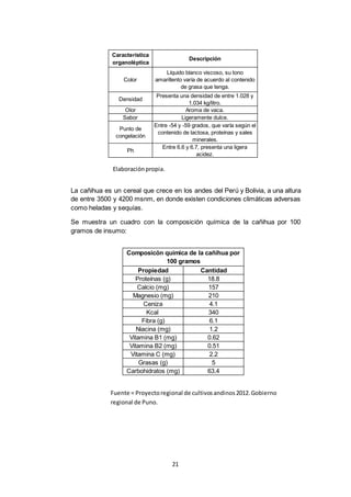 21
Propiedad Cantidad
Proteínas (g) 18.8
Calcio (mg) 157
Magnesio (mg) 210
Ceniza 4.1
Kcal 340
Fibra (g) 6.1
Niacina (mg) 1.2
Vitamina B1 (mg) 0.62
Vitamina B2 (mg) 0.51
Vitamina C (mg) 2.2
Grasas (g) 5
Carbohidratos (mg) 63.4
Composicón química de la cañihua por
100 gramos
Característica
organoléptica
Descripción
Color
Líquido blanco viscoso, su tono
amarillento varía de acuerdo al contenido
de grasa que tenga.
Densidad
Presenta una densidad de entre 1.028 y
1.034 kg/litro.
Olor Aroma de vaca.
Sabor Ligeramente dulce.
Punto de
congelación
Entre -54 y -59 grados, que varía según el
contenido de lactosa, proteínas y sales
minerales.
Ph
Entre 6.6 y 6.7, presenta una ligera
acidez.
La cañihua es un cereal que crece en los andes del Perú y Bolivia, a una altura
de entre 3500 y 4200 msnm, en donde existen condiciones climáticas adversas
como heladas y sequías.
Se muestra un cuadro con la composición química de la cañihua por 100
gramos de insumo:
Fuente = Proyectoregional de cultivosandinos2012.Gobierno
regional de Puno.
Elaboraciónpropia.
 