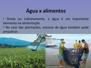 Água x alimentos
• Direta ou indiretamente, a água é um importante
elemento na alimentação
• No caso das plantações, excesso de água também pode
prejudicar.
 