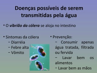 Doenças possíveis de serem
        transmitidas pela água
• O vibrião da cólera se aloja no intestino

• Sintomas da cólera       • Prevenção:
   − Diarréia                 − Consumir apenas
   − Febre alta               água tratada, filtrada
   − Vômito                   ou fervida
                              − Lavar bem os
                              alimentos
                              − Lavar bem as mãos
 