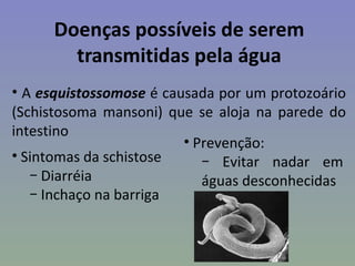 Doenças possíveis de serem
        transmitidas pela água
• A esquistossomose é causada por um protozoário
(Schistosoma mansoni) que se aloja na parede do
intestino
                         • Prevenção:
• Sintomas da schistose     − Evitar nadar em
   − Diarréia               águas desconhecidas
   − Inchaço na barriga
 