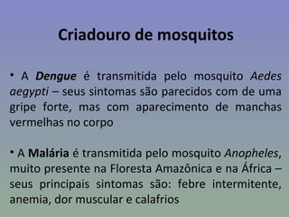 Criadouro de mosquitos

• A Dengue é transmitida pelo mosquito Aedes
aegypti – seus sintomas são parecidos com de uma
gripe forte, mas com aparecimento de manchas
vermelhas no corpo

• A Malária é transmitida pelo mosquito Anopheles,
muito presente na Floresta Amazônica e na África –
seus principais sintomas são: febre intermitente,
anemia, dor muscular e calafrios
 